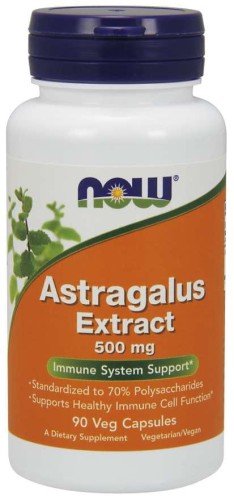 Astragalus Extract - Traganek 500 mg (90 kaps.) (E1)