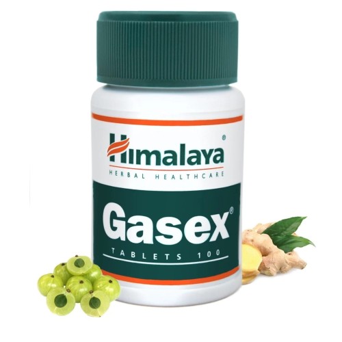 HIMALAYA Gasex (100 tabl.) (E1) 08/2025