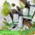 c1994eb451c47617f811d8a2c207a829.webp