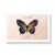 Butterfly-Makeup-Palette_EAN_5902414438729-2.jpg