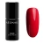 red-y-for-love (1).webp