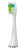 image12_transparent.png