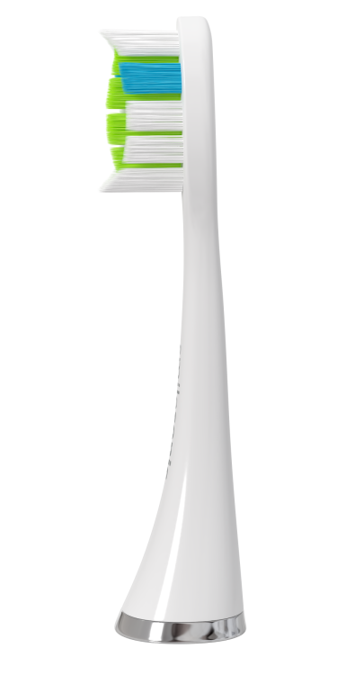 image13_transparent.png