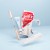 Pero-obsah-krabicky-Cinema-4D-2022_modra-600x600.jpg