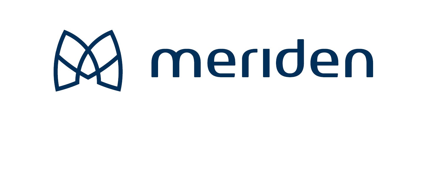 Producent: Meriden (przejdź do produktów)